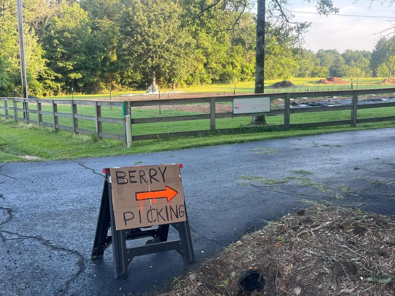 A sign that says berry pickin on the side of the road.